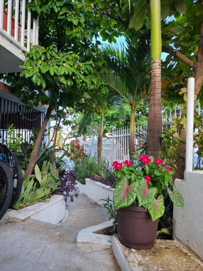Casita Natural Village #6 y #8 San Juan Exterior foto