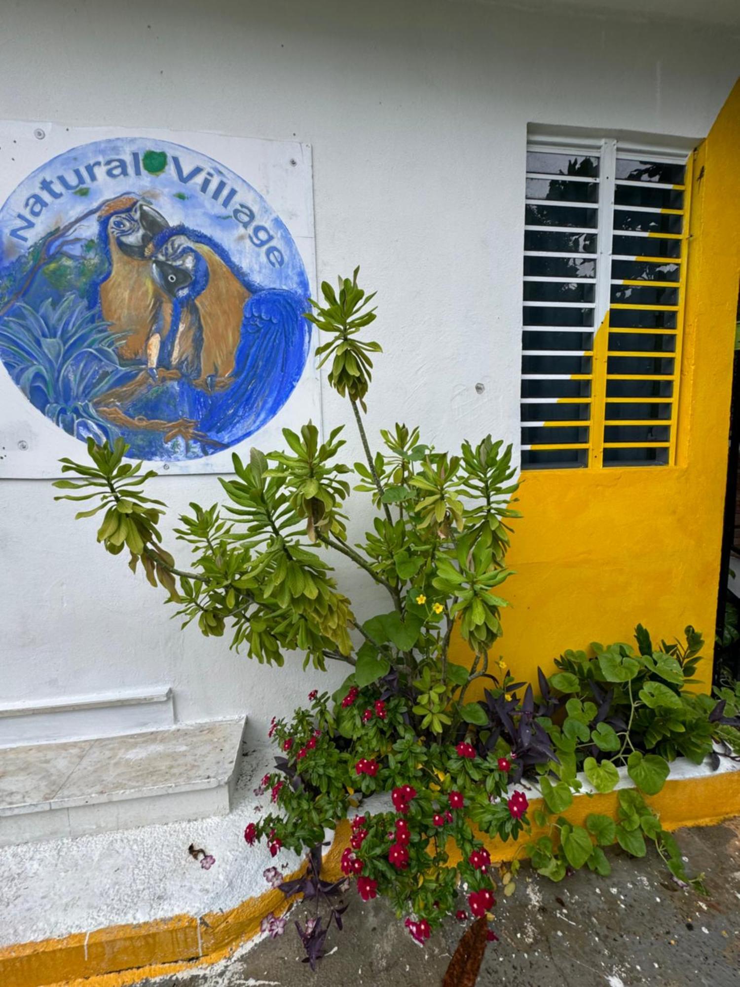 Casita Natural Village #6 y #8 San Juan Exterior foto